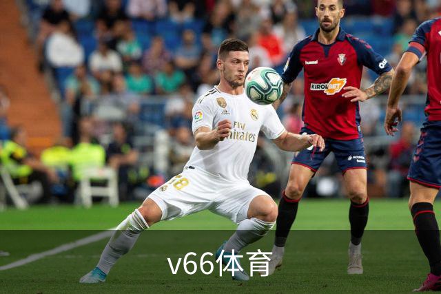 v66体育 公司介绍